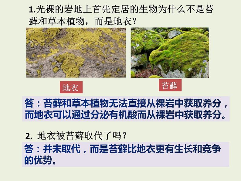 高中生物人教版(2019)选择性必修二2.3群落的演替 课件第5页