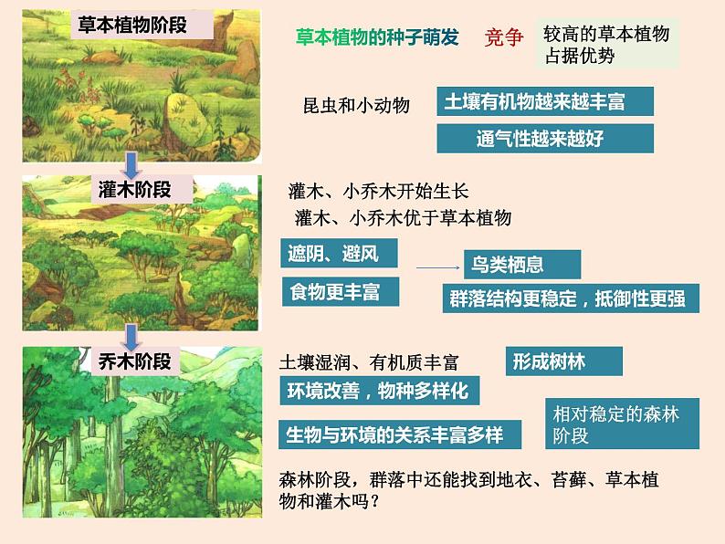 高中生物人教版(2019)选择性必修二2.3群落的演替 课件第6页