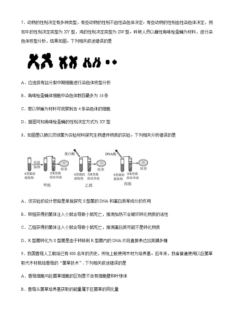 福建省泉州市2021届高三下学期5月质量检测(五)(三模)生物试题 Word版含答案03