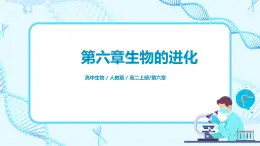 6.2《自然選擇與適應(yīng)的形成》課件PPT+教案