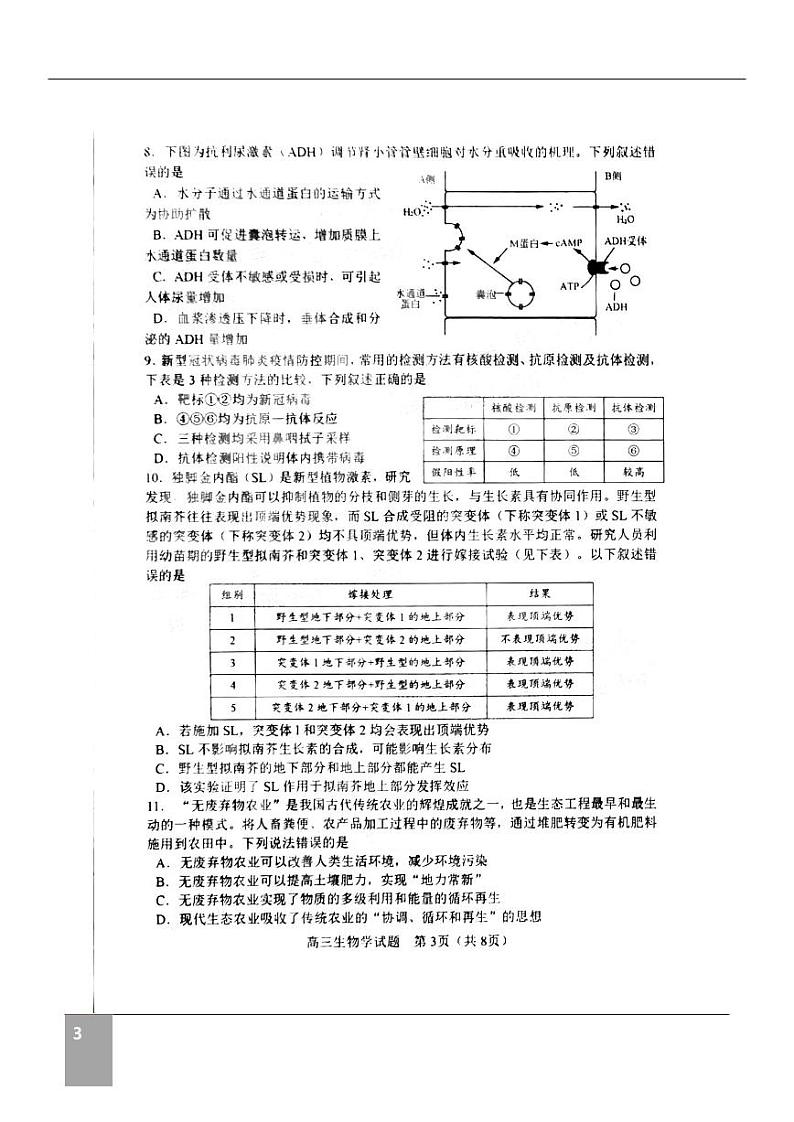 淄博市2022届高三二模生物试题及答案03