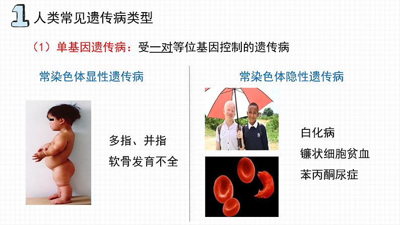 5.3 人类遗传病课件PPT第5页
