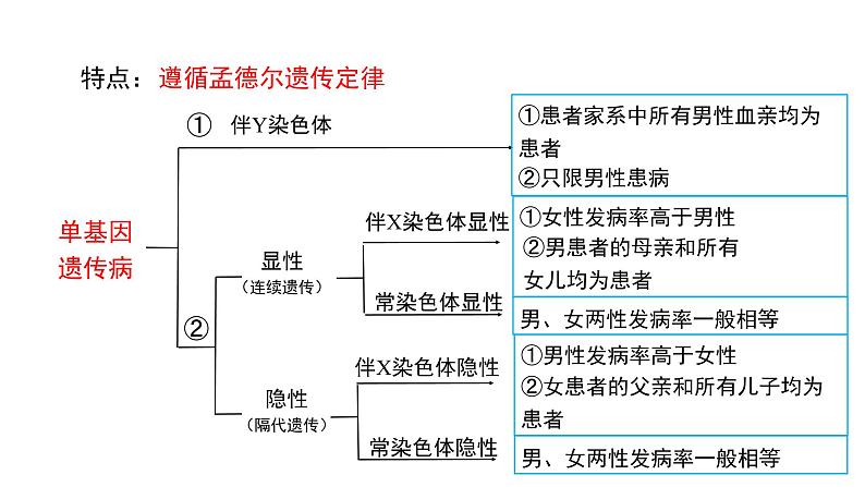 5.3 人类遗传病课件PPT第7页