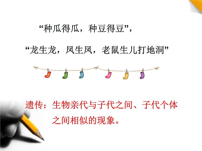 人教新课标高中生物必修二 1.1孟德尔的豌豆杂交实验(一)课件第2页