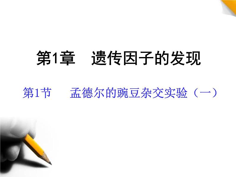 人教新课标高中生物必修二 1.1孟德尔的豌豆杂交实验(一)课件第3页