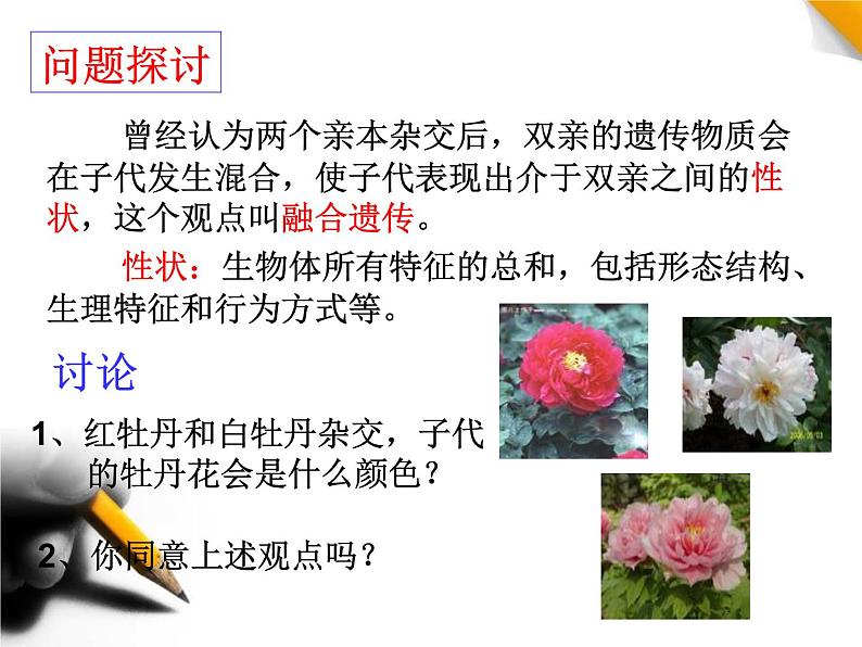 人教新课标高中生物必修二 1.1孟德尔的豌豆杂交实验(一)课件第4页