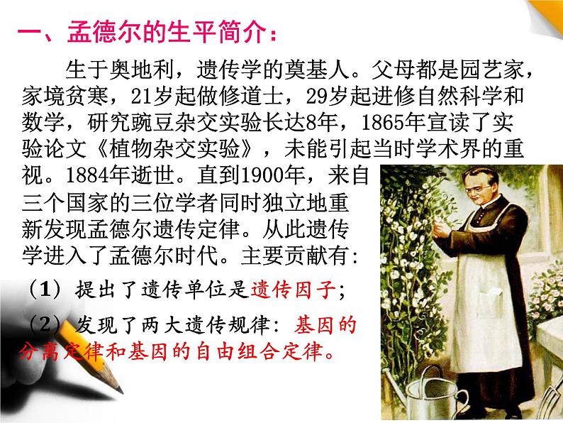 人教新课标高中生物必修二 1.1孟德尔的豌豆杂交实验(一)课件第5页