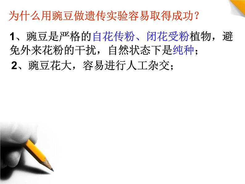 人教新课标高中生物必修二 1.1孟德尔的豌豆杂交实验(一)课件第8页
