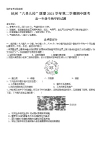 2022杭州“六县九校”联盟高一下学期期中联考试题生物含答案
