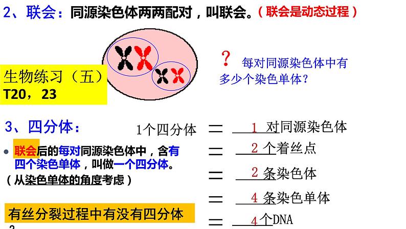 2.1受精作用课件PPT第3页