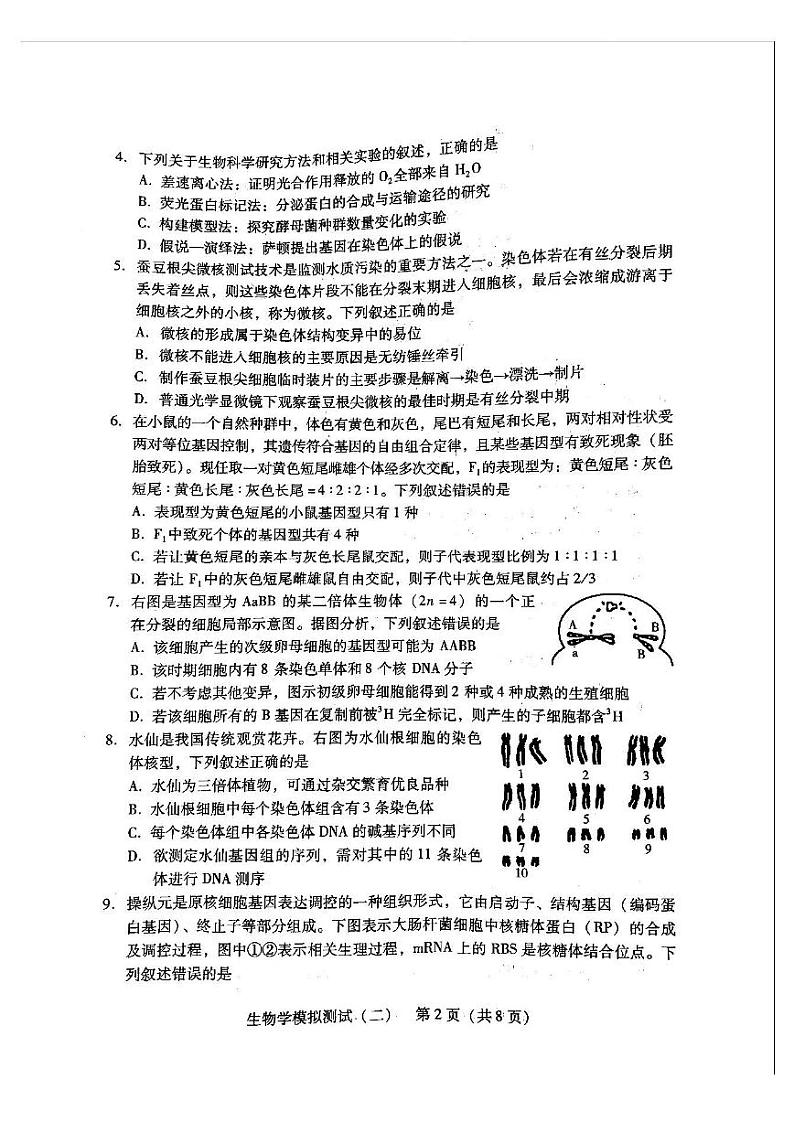 2022年广东省普通高中学业水平选择考模拟测试(二)生物试卷含答案(广东二模)02