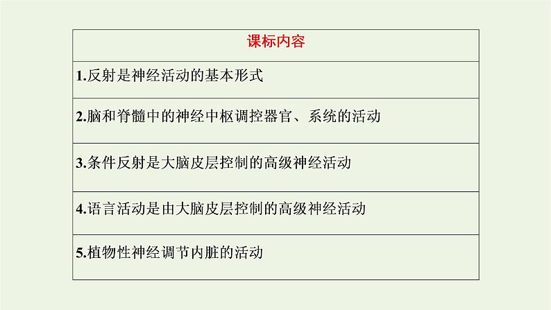 2022年新教材高中生物第二章神经调节第三节人体通过神经调节对刺激做出反应课件浙科版选择性必修1第2页