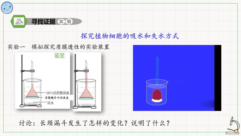 2.1.2物质进出细胞的方式-课件04