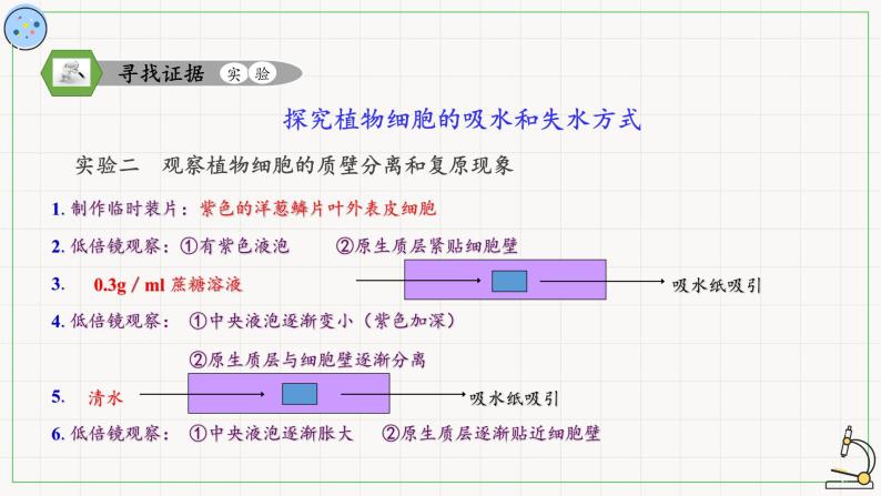 2.1.2物质进出细胞的方式-课件08