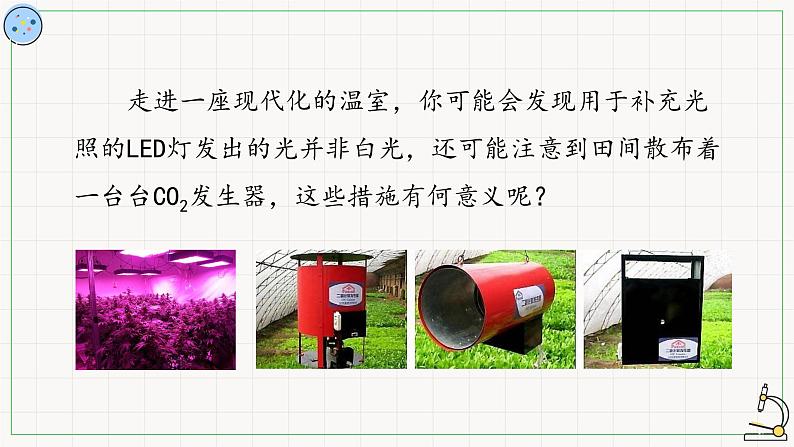 4.4.3影响光合作用的因素-课件第2页