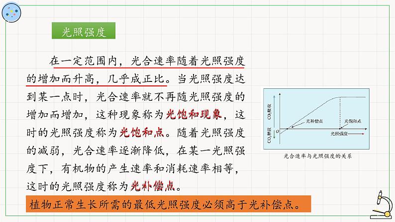 4.4.3影响光合作用的因素-课件第4页