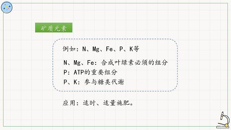 4.4.3影响光合作用的因素-课件第8页