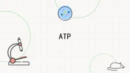 4.2ATP-课件