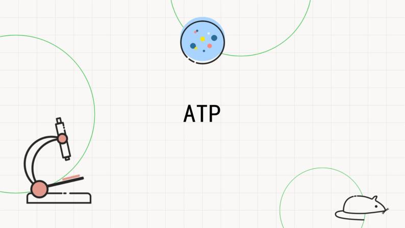 4.2ATP-课件01