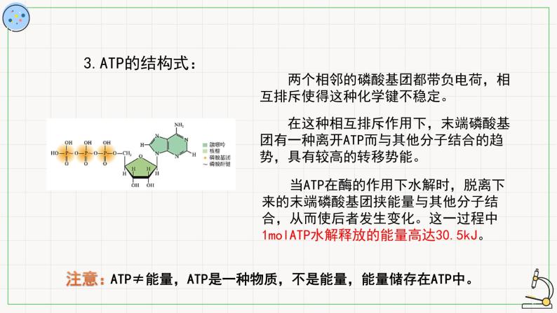 4.2ATP-课件06