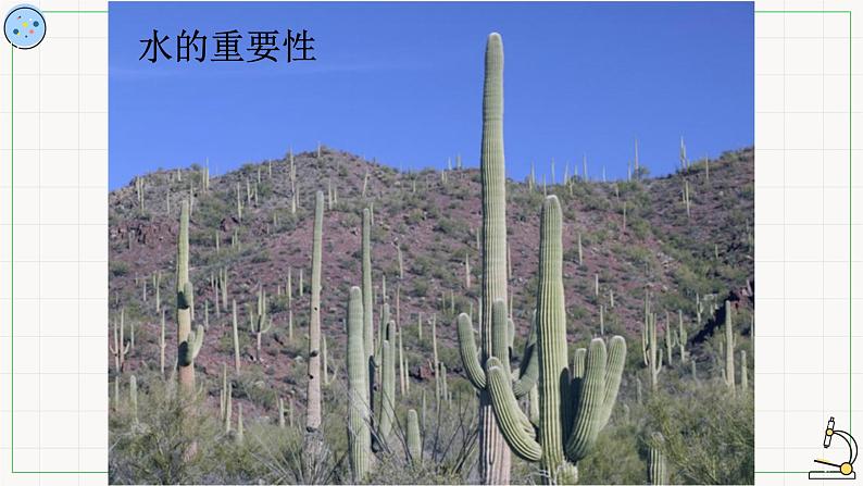 3.1水与无机盐-课件04