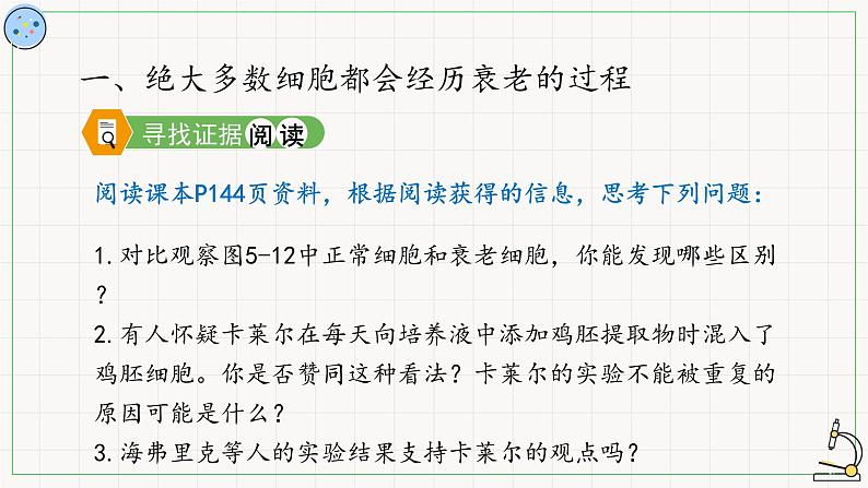 5.3细胞的衰老与死亡-课件第3页