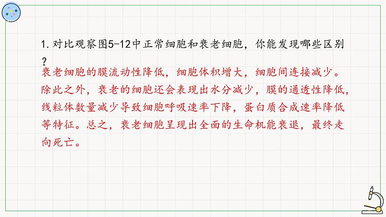5.3细胞的衰老与死亡-课件第4页