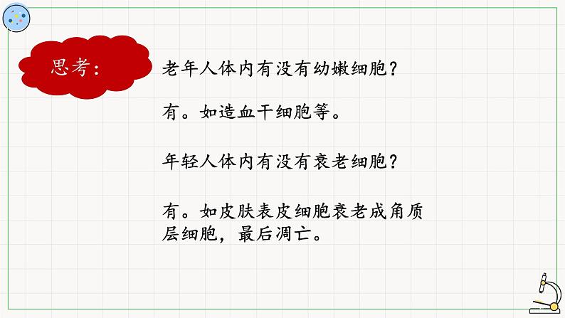 5.3细胞的衰老与死亡-课件第7页