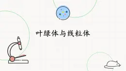 2.2.1叶绿体与线粒体-课件