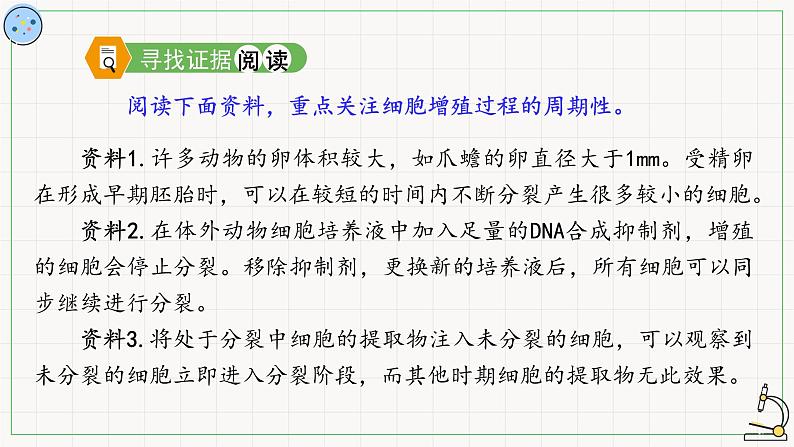 5.1.1细胞周期-课件第3页
