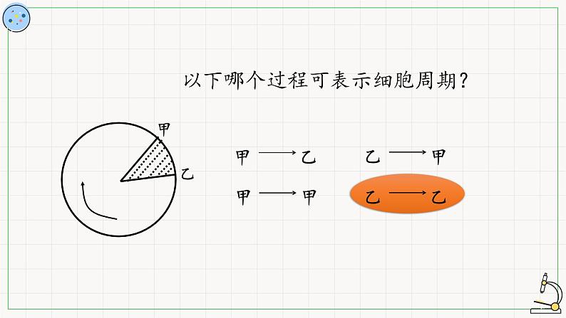 5.1.1细胞周期-课件第6页