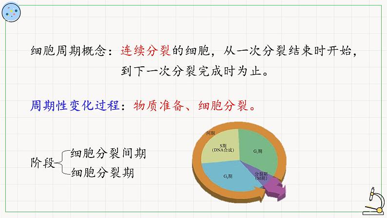 5.1.1细胞周期-课件第7页
