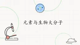 3.5元素与生物大分子-课件