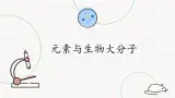 3.5元素与生物大分子-课件