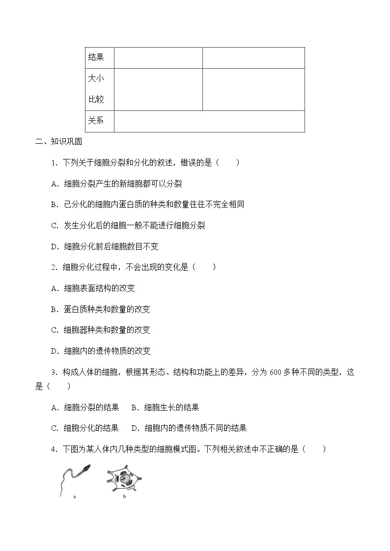 5.2细胞的分化-学案02