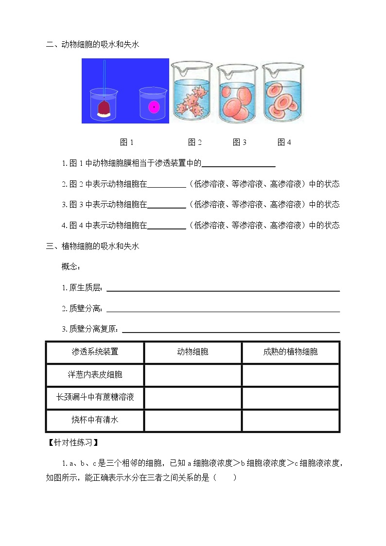 2.1.2物质进出细胞的方式-学案02