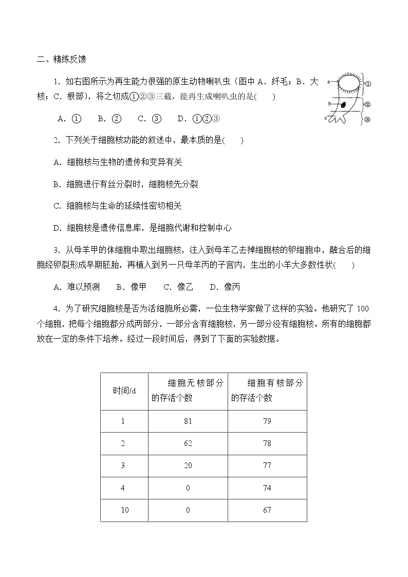 2.2.3细胞核-学案02