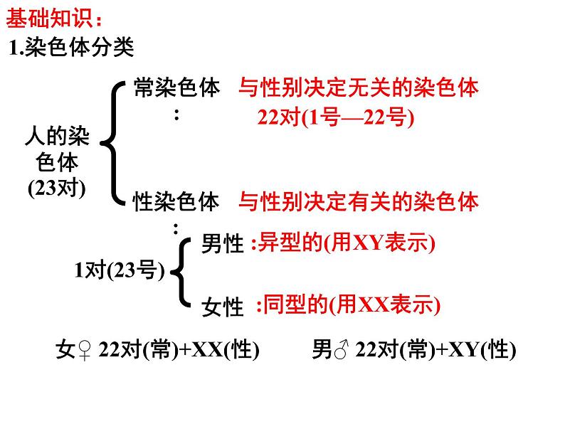 2.3伴性遗传课件PPT03