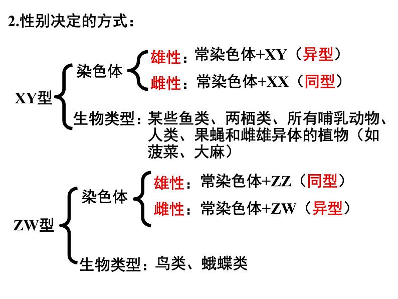 2.3伴性遗传课件PPT04