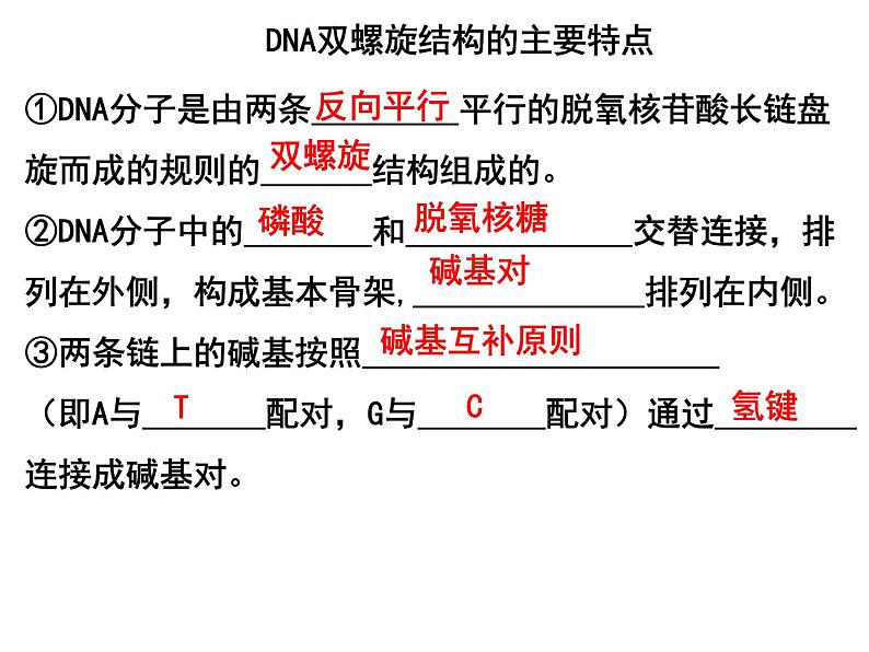 3.3DNA的复制课件PPT01