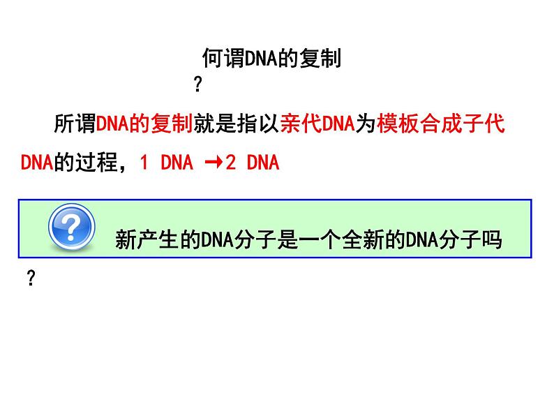 3.3DNA的复制课件PPT03