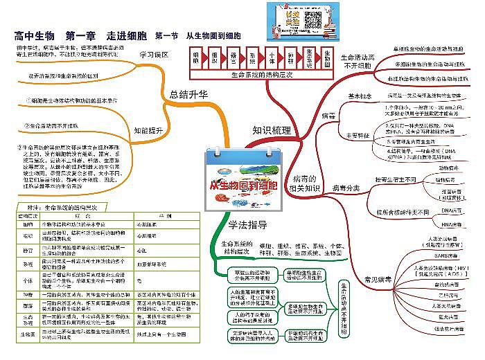 高中生物-思维导图(45图)01