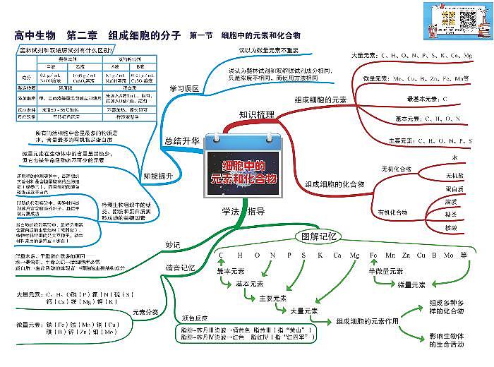 高中生物-思维导图(45图)03