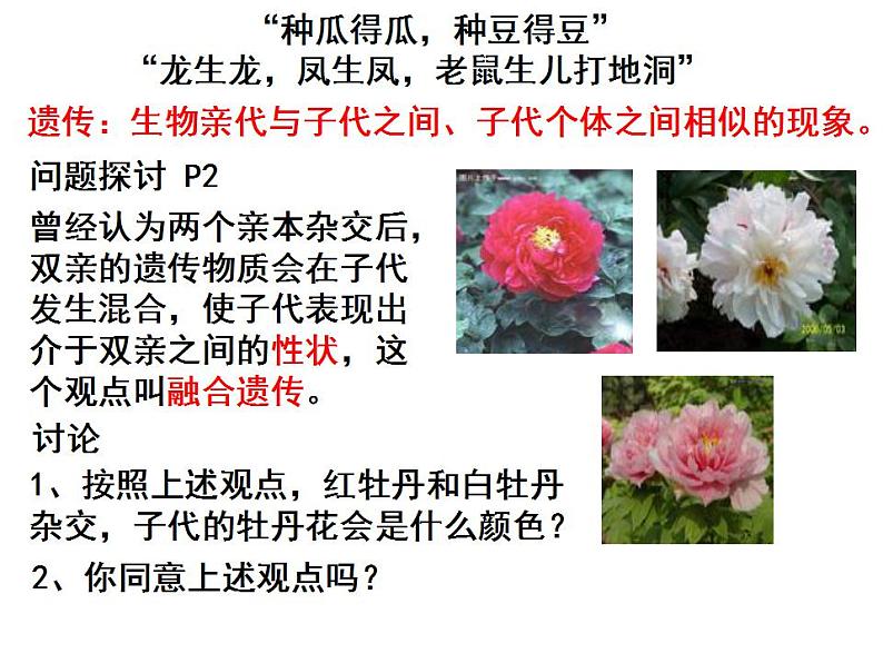 1.1孟德尔的豌豆杂交实验(一)课件PPT01