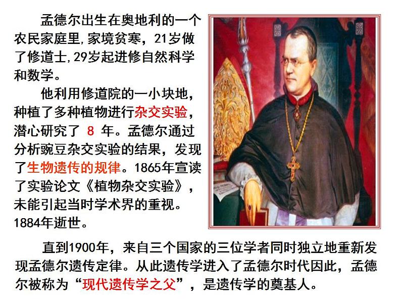 1.1孟德尔的豌豆杂交实验(一)课件PPT03