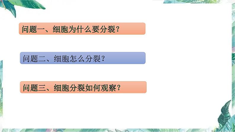 高三生物一轮复习:细胞增殖 优质复习课件第4页