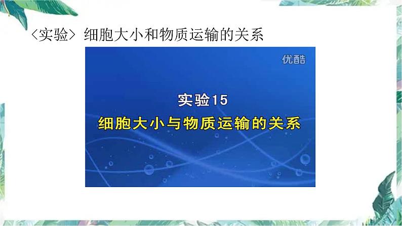 高三生物一轮复习:细胞增殖 优质复习课件第6页