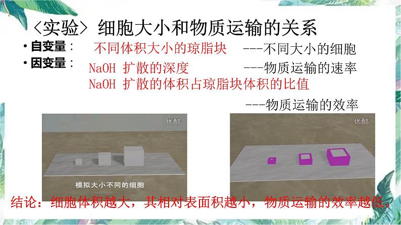 高三生物一轮复习:细胞增殖 优质复习课件第7页
