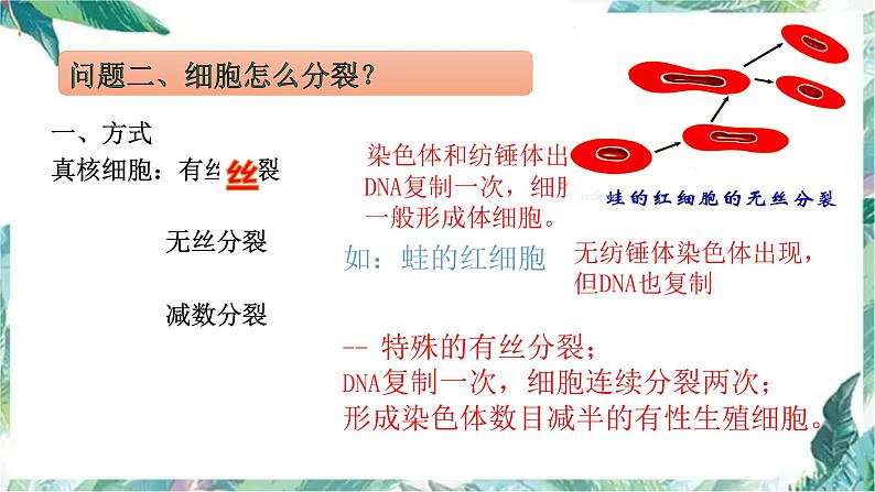 高三生物一轮复习:细胞增殖 优质复习课件第8页