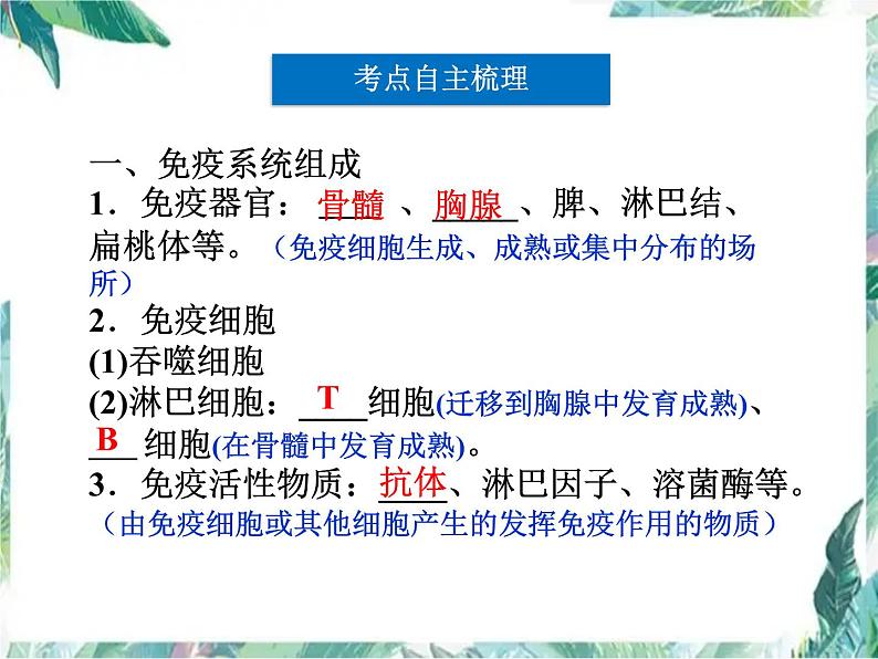 免疫调节 高考生物一轮复习优质课件第4页